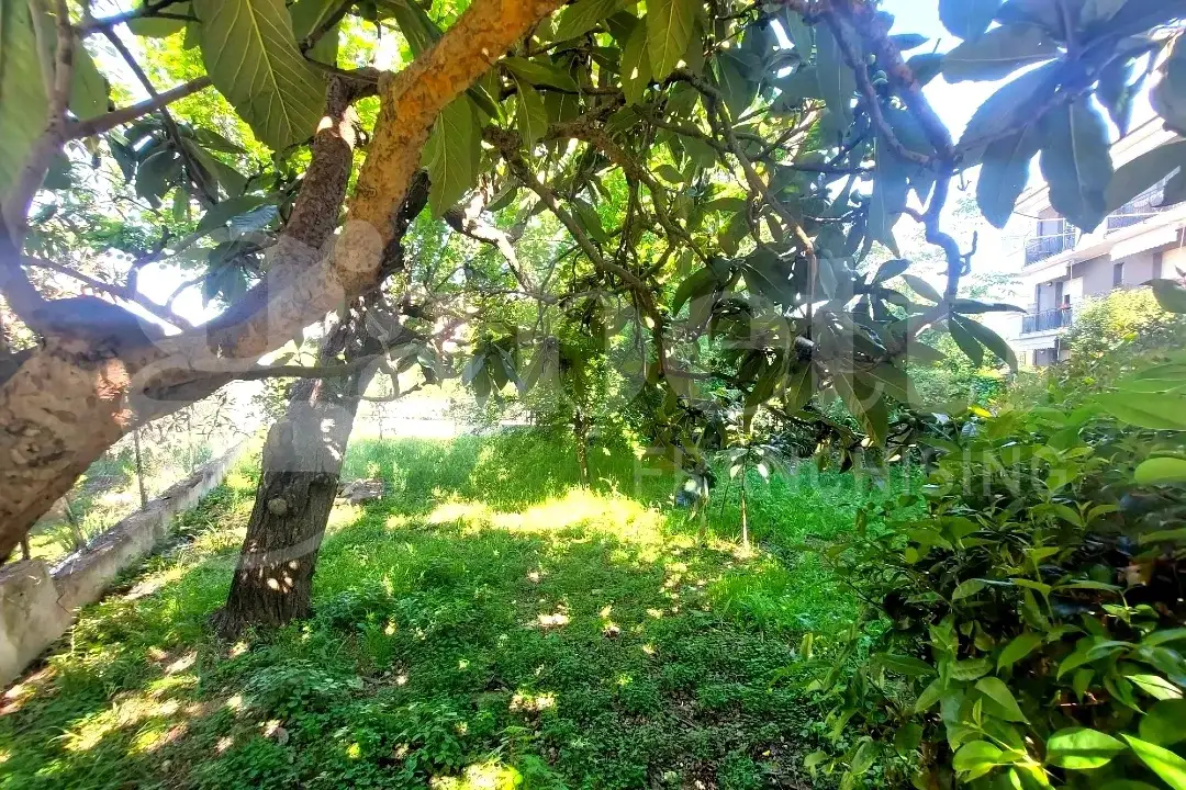 Appartamento - Image 7