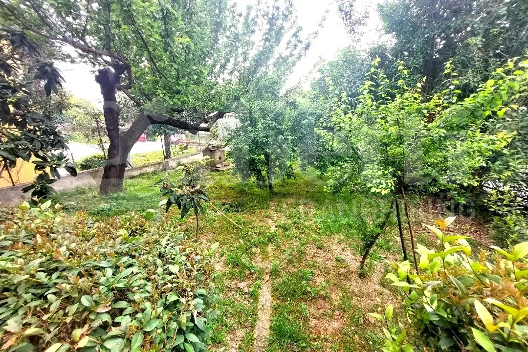 Appartamento - Image 2