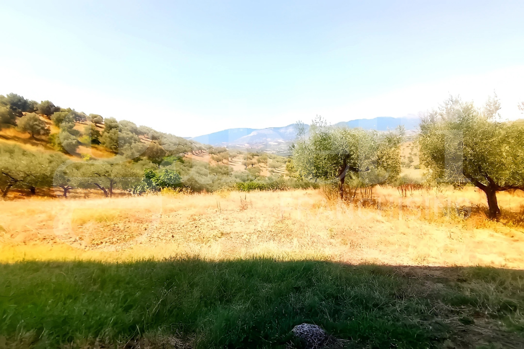 Casa Indipendente - Image 8