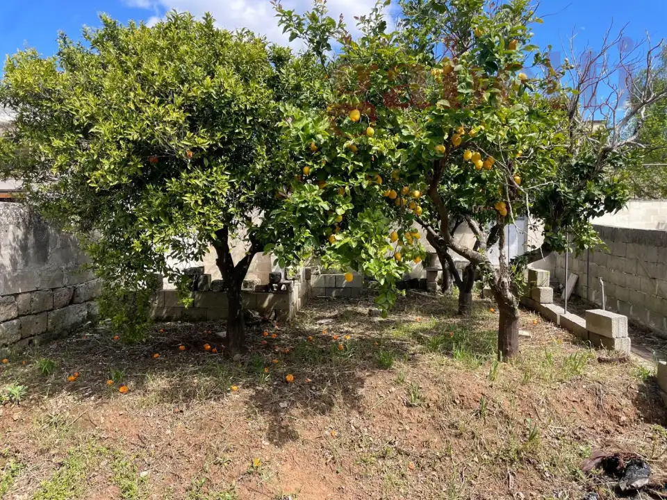 Casa Indipendente - Image 17