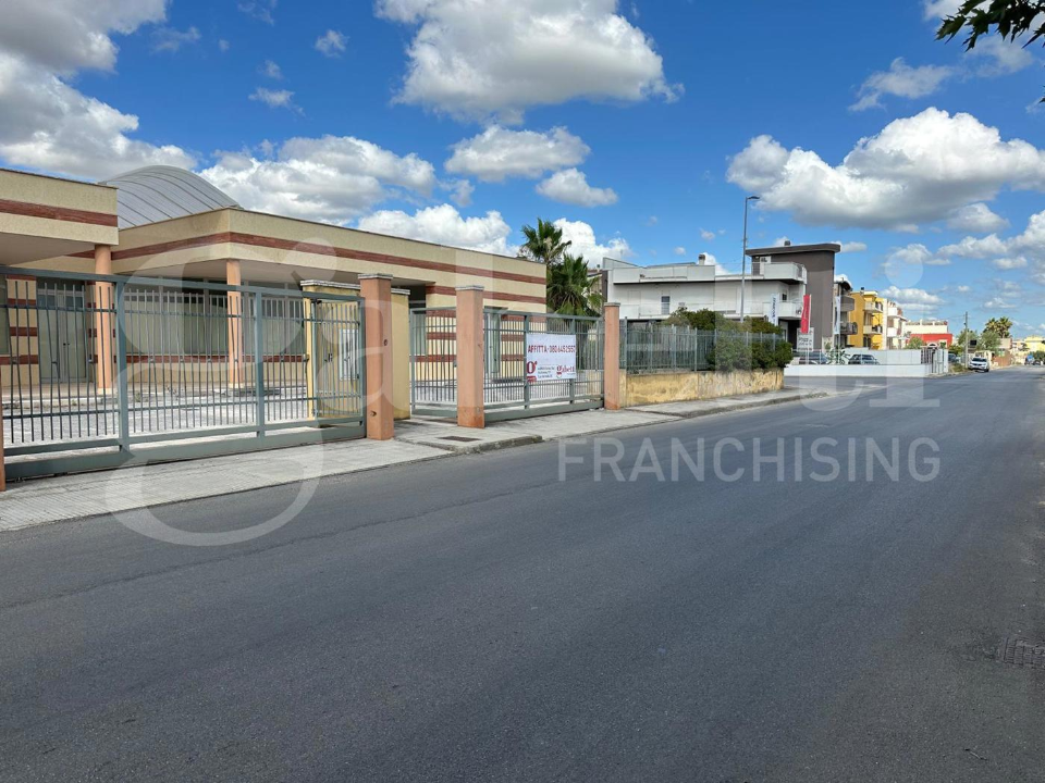 Attività - Image 17