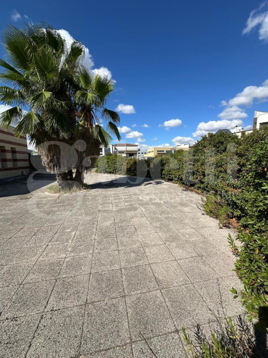 Attività - Image 15