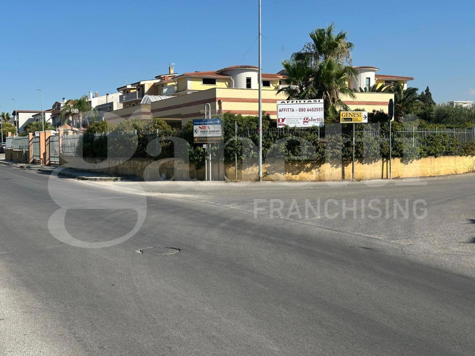 Attività - Image 18