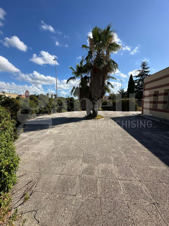 Attività - Image 14