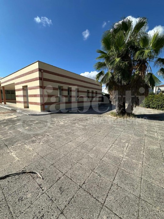 Attività - Image 12