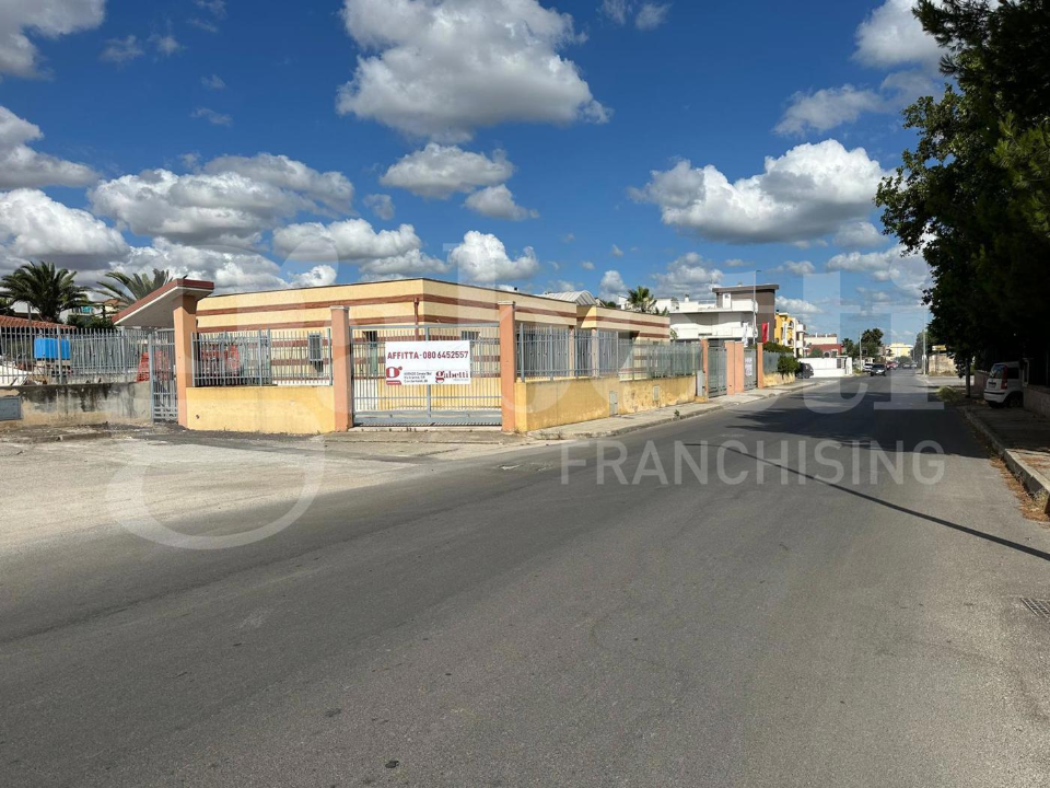 Attività - Image 16