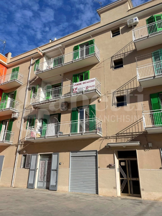 Appartamento - Image 15