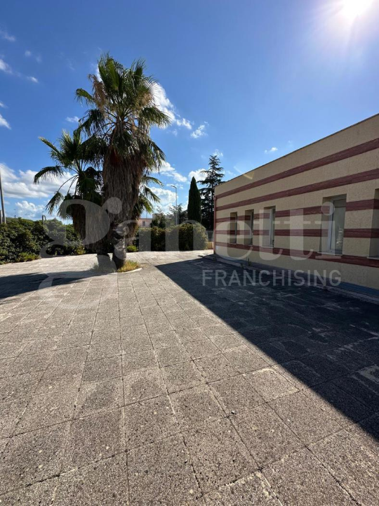 Attività - Image 14