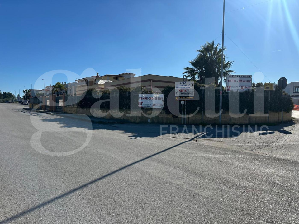 Attività - Image 17