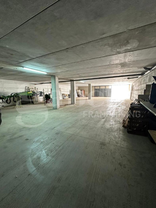 Attività - Image 12