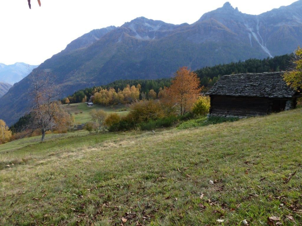 Casa Indipendente - Image 12