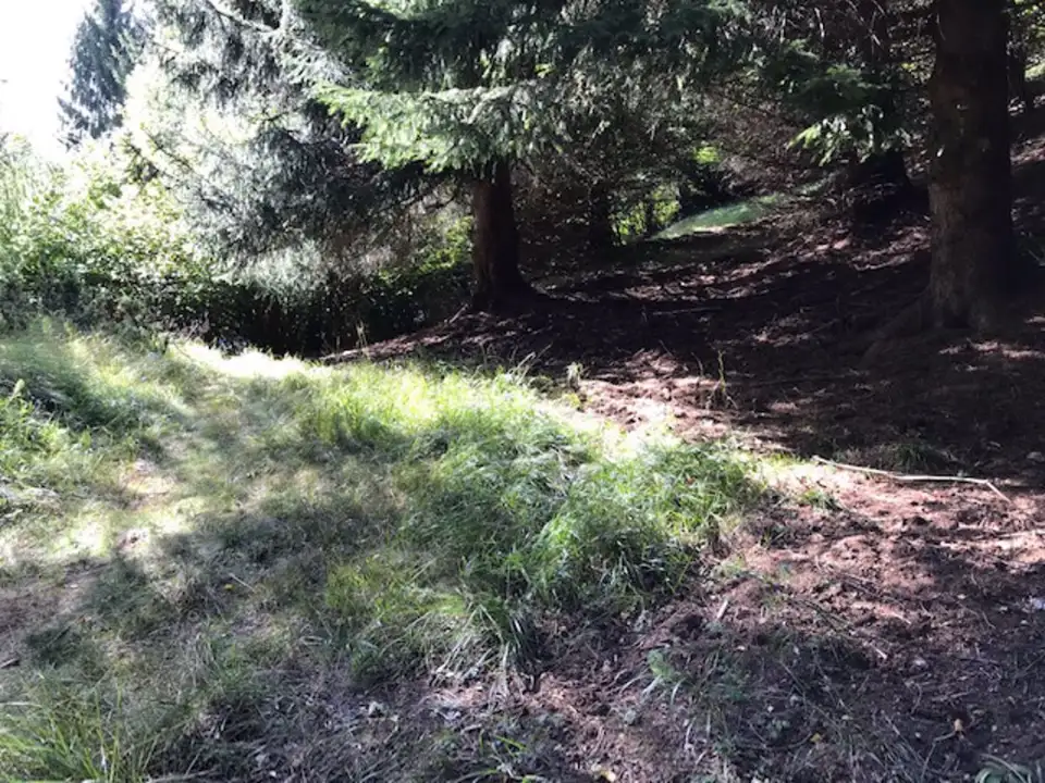 Casa Indipendente - Image 3