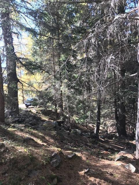 Casa Indipendente - Image 3