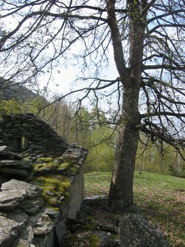 Casa Indipendente - Image 1