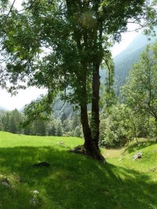 Casa Indipendente - Image 13