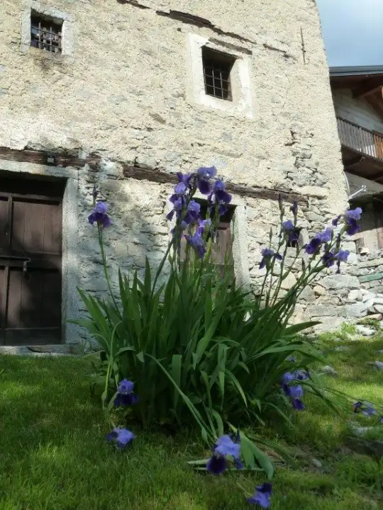 Casa Indipendente - Image 5