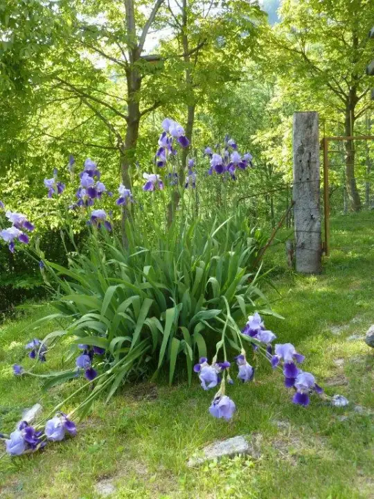 Casa Indipendente - Image 19