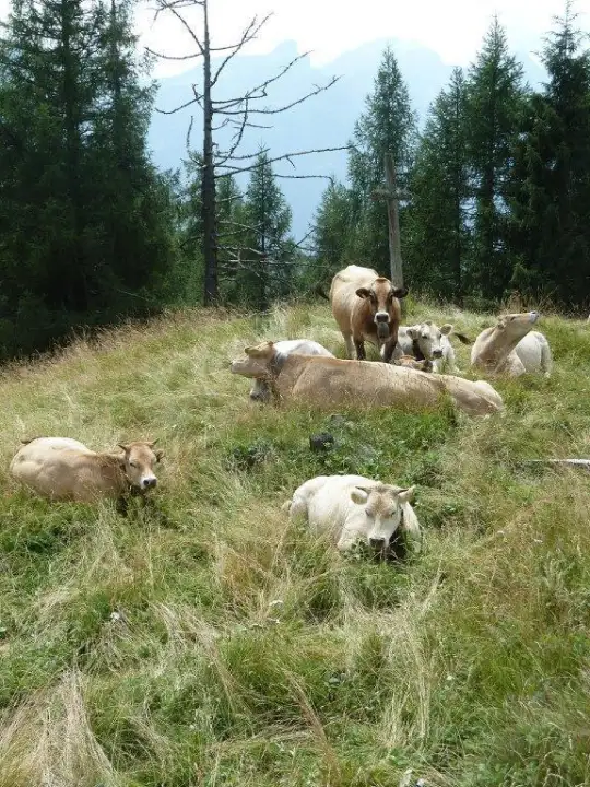 Casa Indipendente - Image 23