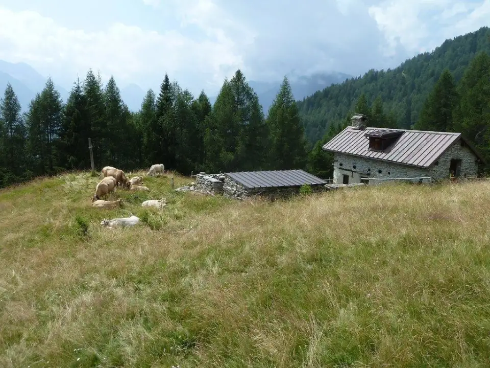 Casa Indipendente - Image 24