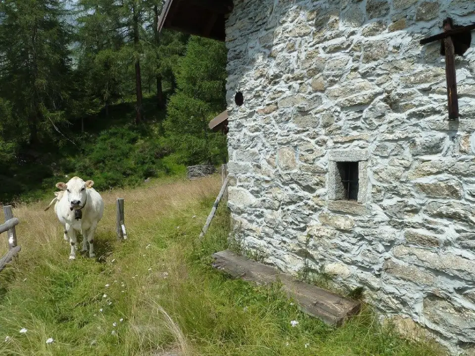 Casa Indipendente - Image 6