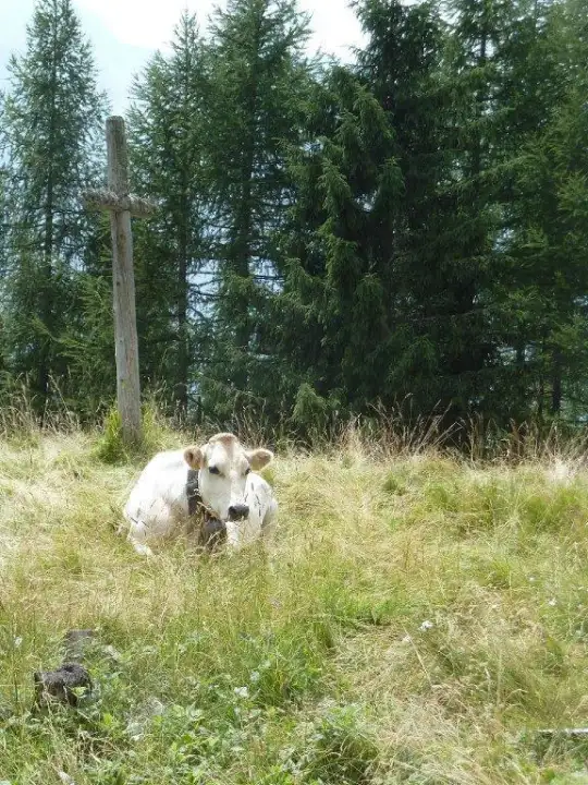 Casa Indipendente - Image 4