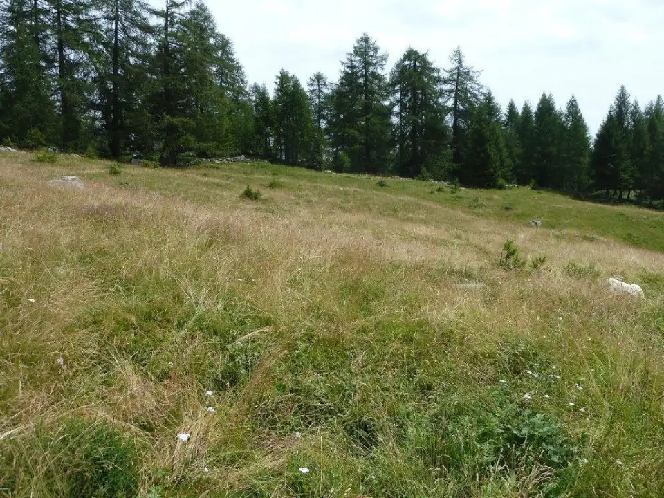 Casa Indipendente - Image 22