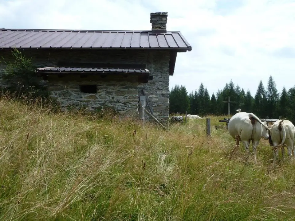 Casa Indipendente - Image 8