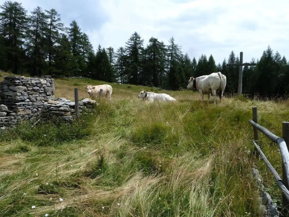 Casa Indipendente - Image 10