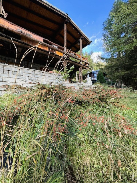 Casa Indipendente - Image 4