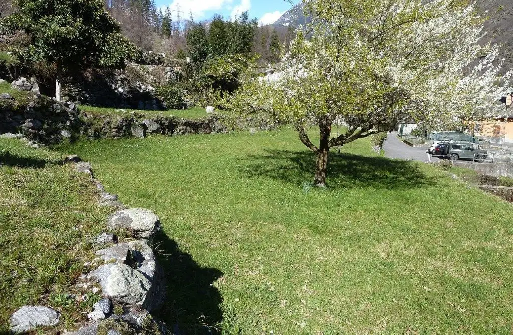 Casa Indipendente - Image 4