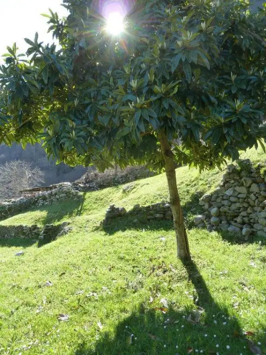 Casa Indipendente - Image 5