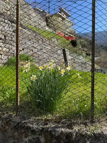 Casa Indipendente - Image 24