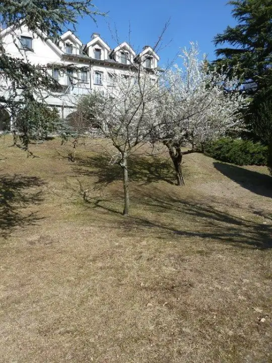 Appartamento - Image 17