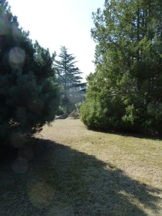 Appartamento - Image 18