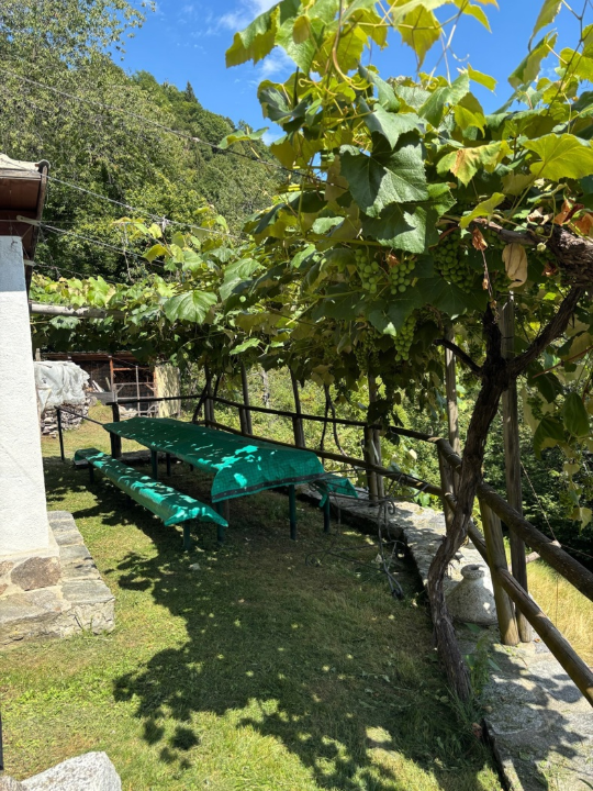 Casa Indipendente - Image 6