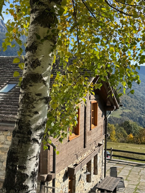 Casa Indipendente - Image 2