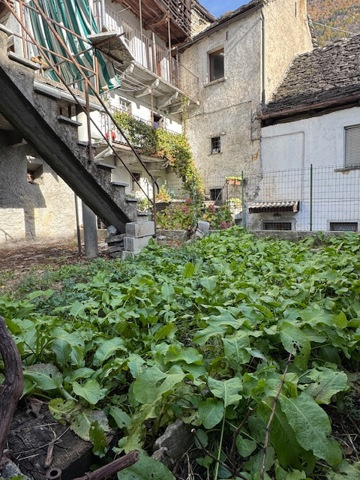 Casa Indipendente - Image 3