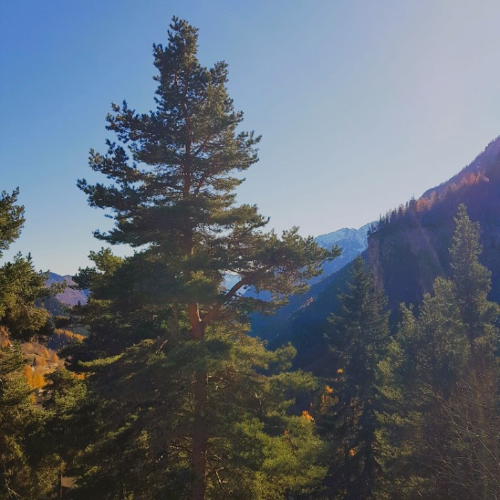 Appartamento - Image 12