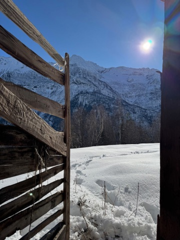 Casa Indipendente - Image 5