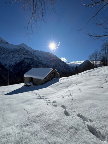 Casa Indipendente - Image 10