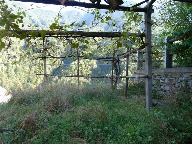 Casa Indipendente - Image 6