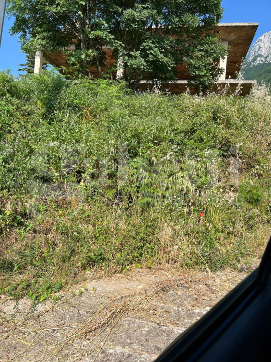 Casa Indipendente - Image 2