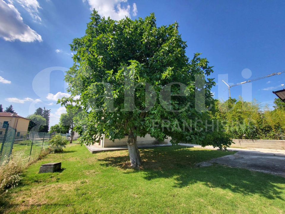 Casa Indipendente - Image 5