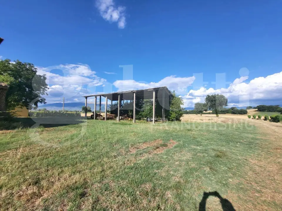 Casa Indipendente - Image 5