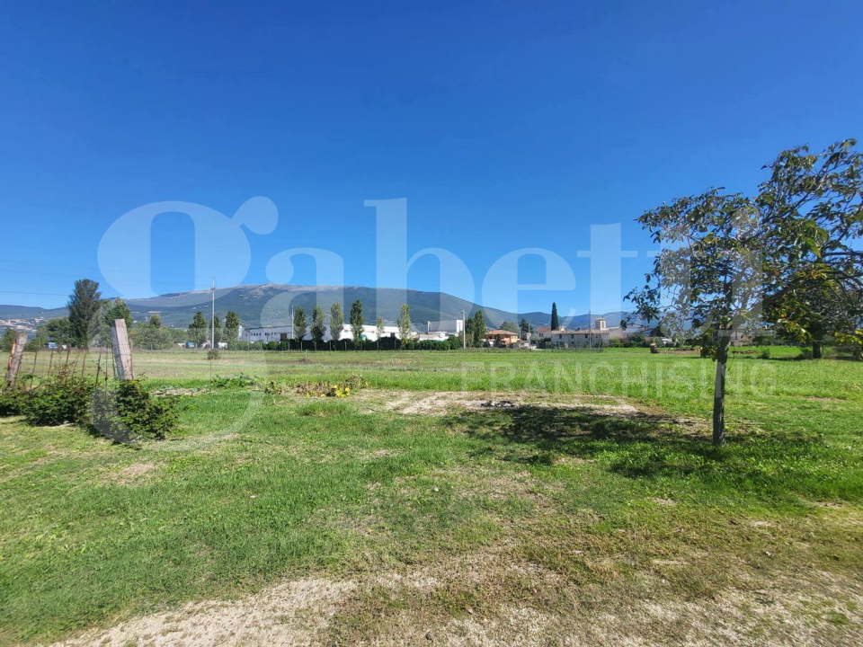 Casa Indipendente - Image 7