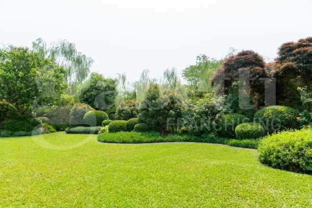 Appartamento - Image 1