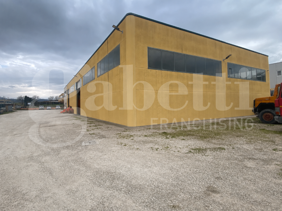 Capannone - Image 5