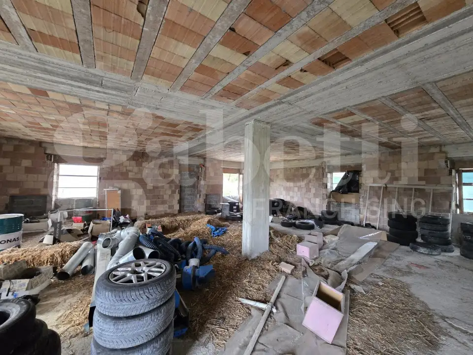 Magazzino - Image 14