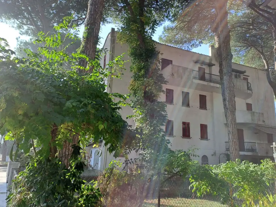 Appartamento - Image 3