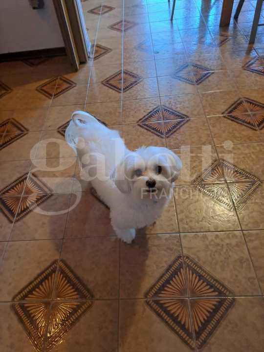 Appartamento - Image 9